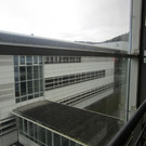 IMG_8092.JPG