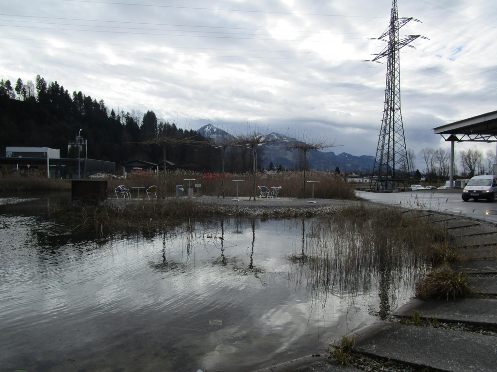 IMG_8111.JPG