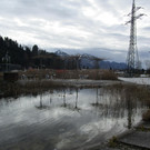 IMG_8111.JPG
