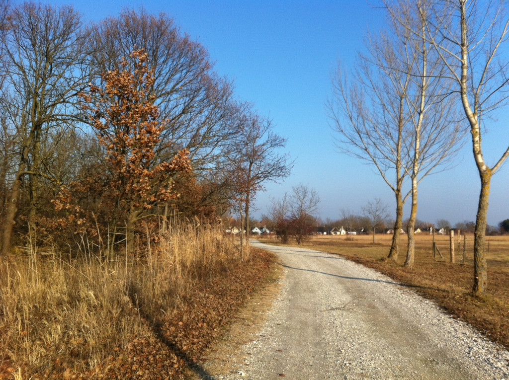 Foto 2.JPG