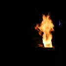 IMG_7409.JPG