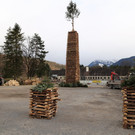 IMG_7329.JPG