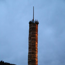 IMG_7733.JPG