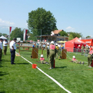 Jugendbewerb_LFF_2010_092_JPG-1278504851