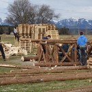 DSC02798.JPG