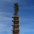 DSC02962.JPG