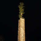 DSC02975.JPG