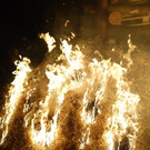 DSC02984.JPG