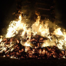 DSC02991.JPG