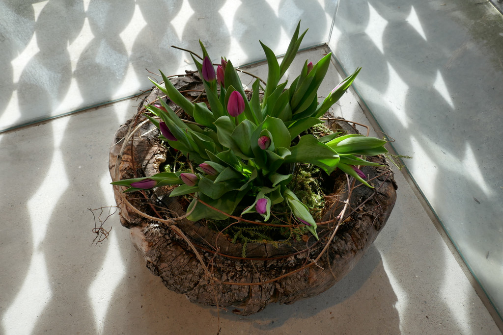 P1020256.JPG