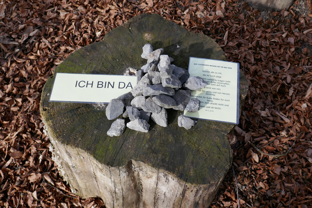 P1020300.JPG
