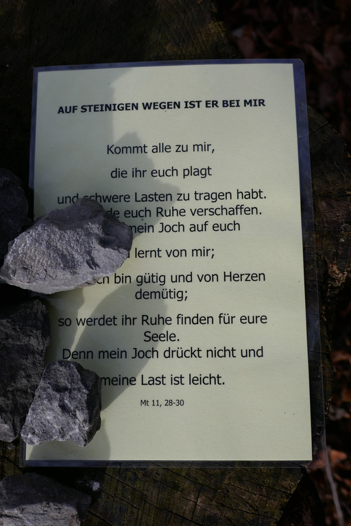 P1020301.JPG