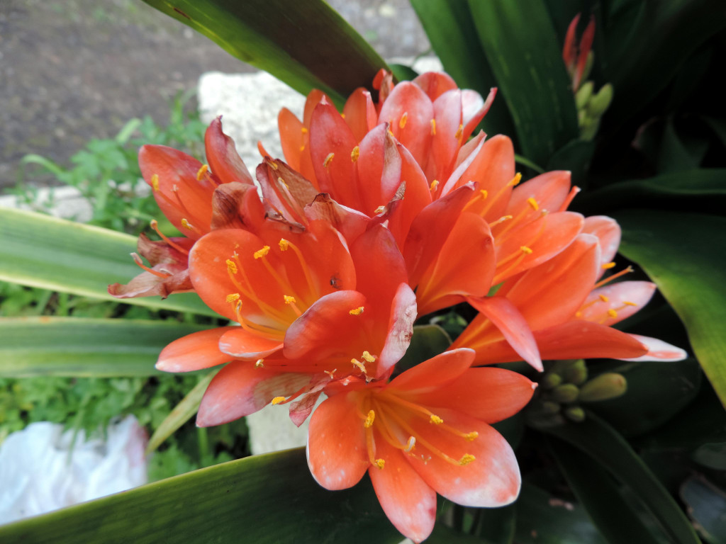 DSCN2139.JPG