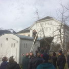 Winterschnittkurs 2017