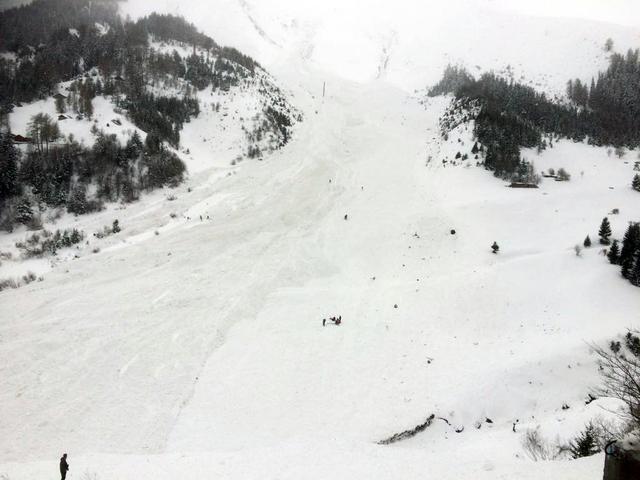 SLF5.jpg