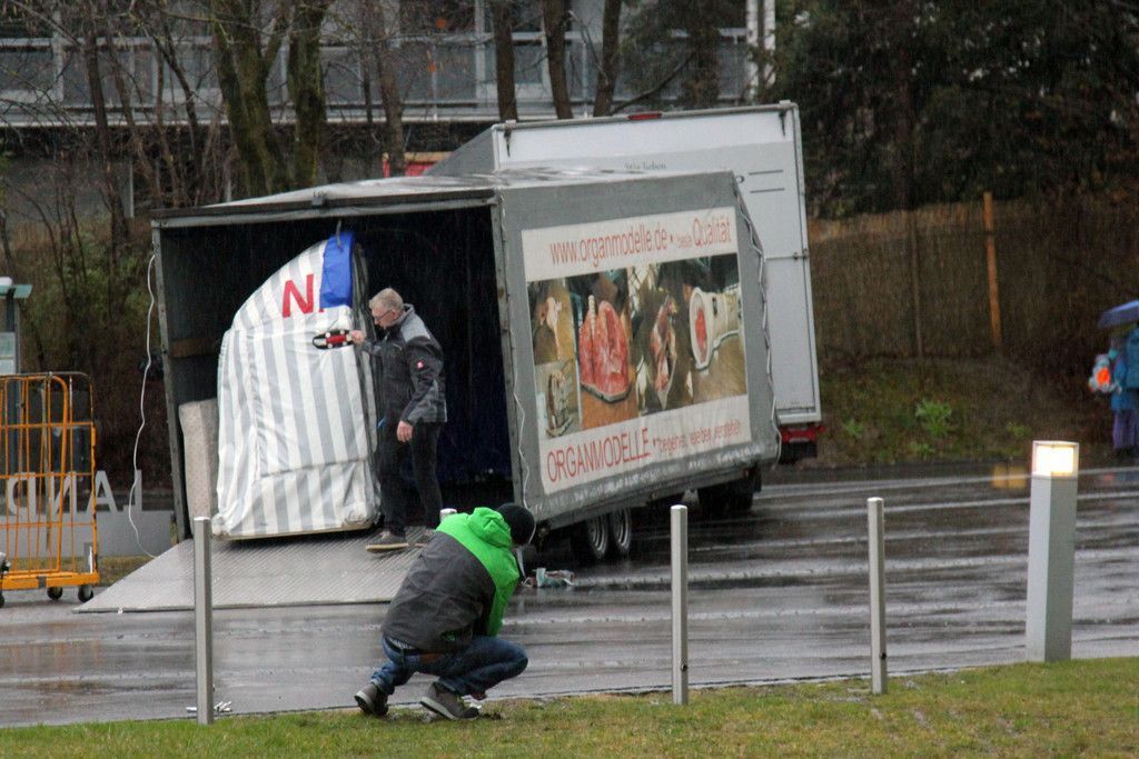 1Aufbau_Niere.jpg