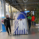 2Aufbau_Niere.jpg
