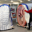 5Aufbau_Niere.jpg
