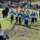 33290973975 Zwerglestart.jpg