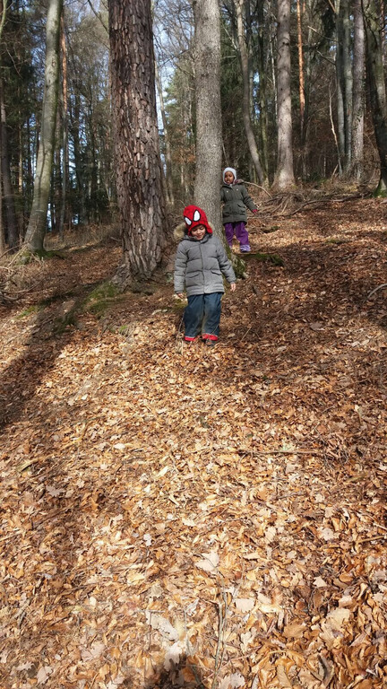 Waldtag Semih5.JPG