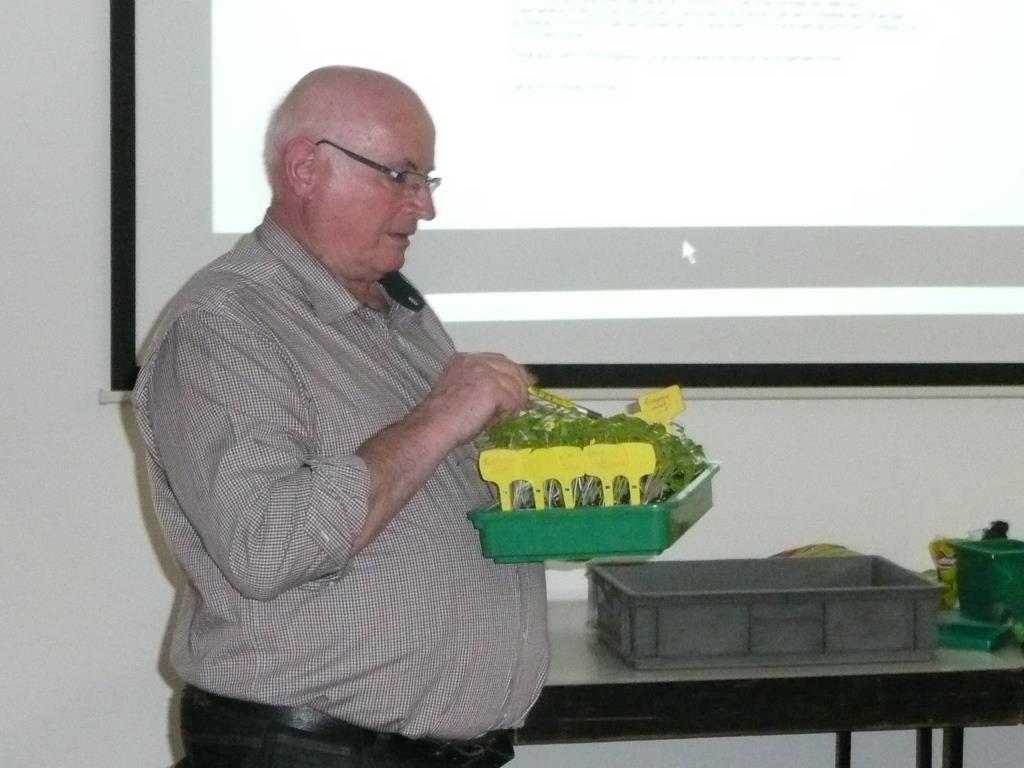 Aussaat von Jungpflanzen 21_02_2017      _6_.JPG