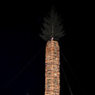 _SCO1341 _1_.jpg