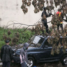 AFP_MH6VS.jpg