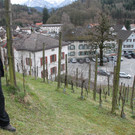 IMG_7724.JPG