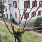 IMG_7730.JPG