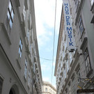 IMG_5883.JPG