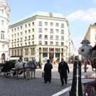 IMG_5803.JPG