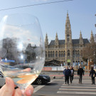 IMG_5829.JPG