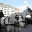 IMG_5838.JPG