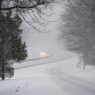 AFP_MN4OR.jpg