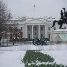 AFP_MN3N9.jpg