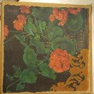 p11503-Foto2 Geranien.jpg