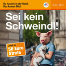 "Sei kein Schweindl!": Wiener MA 48 mit neuer Kampagne 
