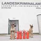 20170315 PK SM WN Bild 1.JPG