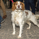 Schweizerhaus Saison-Eroeffnung 2017 - 15_03_2017 _22 von 95_.jpg