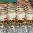 Schweizerhaus Saison-Eroeffnung 2017 - 15_03_2017 _69 von 95_.jpg