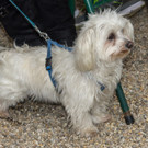 Schweizerhaus Saison-Eroeffnung 2017 - 15_03_2017 _83 von 95_.jpg