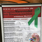 IMG_7878.JPG