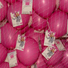 30_ Geburstagsfest von ADLER-16_03_2017 _18 von 130_.jpg