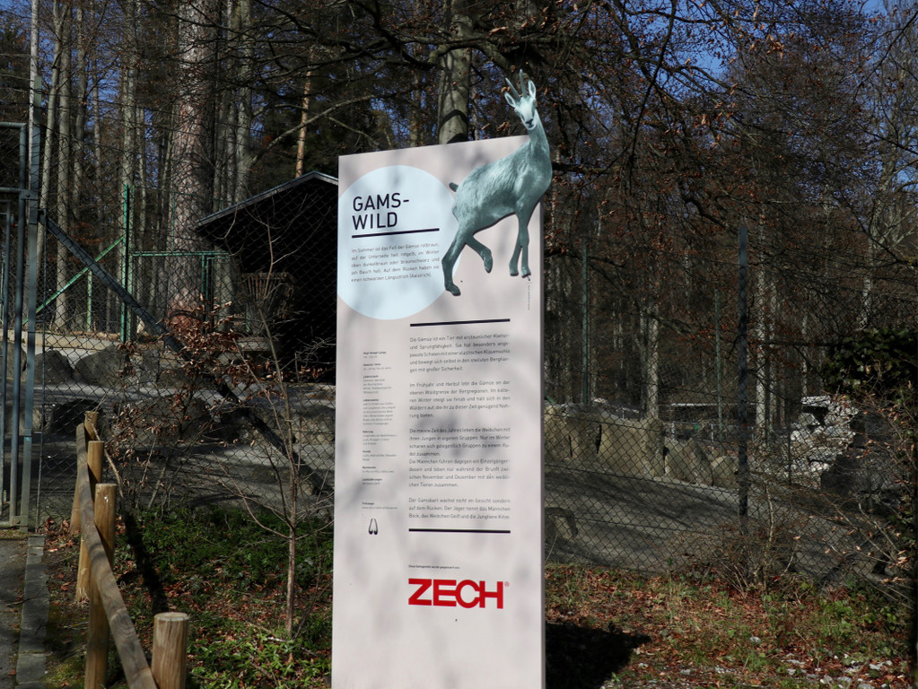 KOE_Wildpark Fruehling 2017 10.jpg
