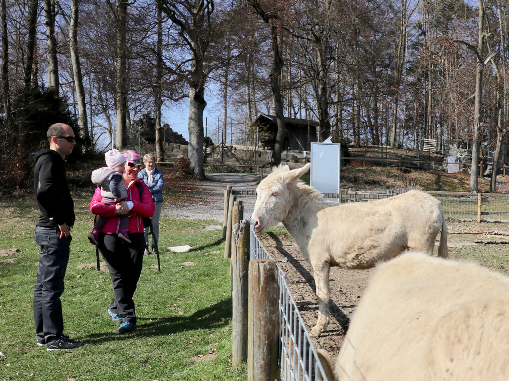 KOE_Wildpark Fruehling 2017 12.jpg