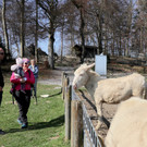 KOE_Wildpark Fruehling 2017 12.jpg