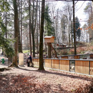 KOE_Wildpark Fruehling 2017 25.jpg