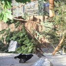 KOE_Wildpark Fruehling 2017 29.jpg