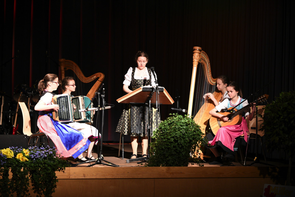 Volksmusikensemble S__takn__pfle spielt auf.jpg