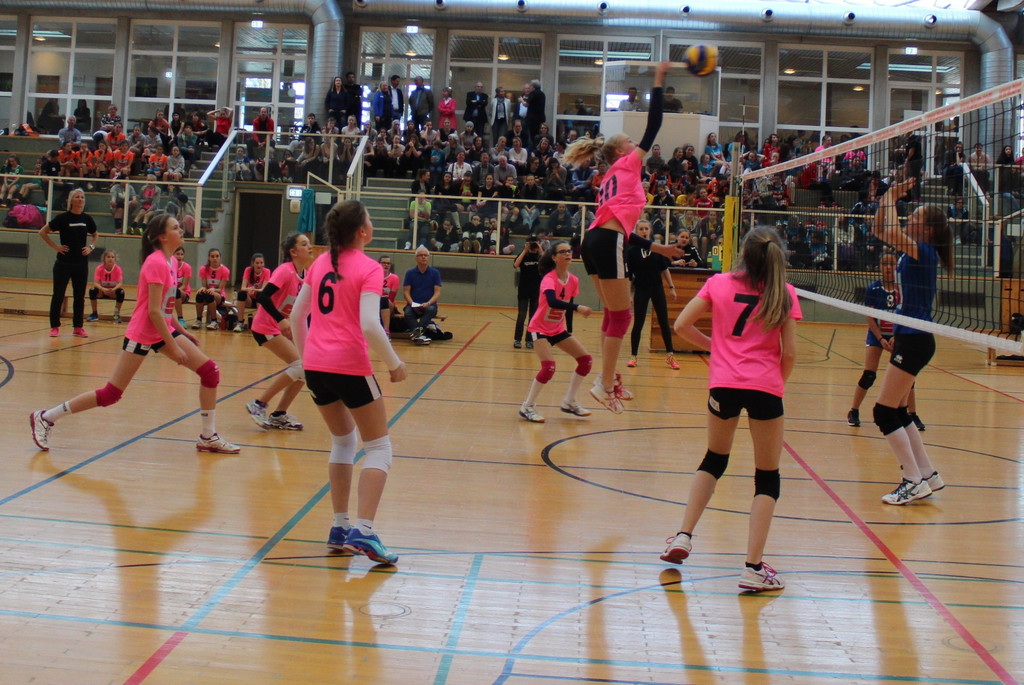 Finale Volleyball 8b.jpg